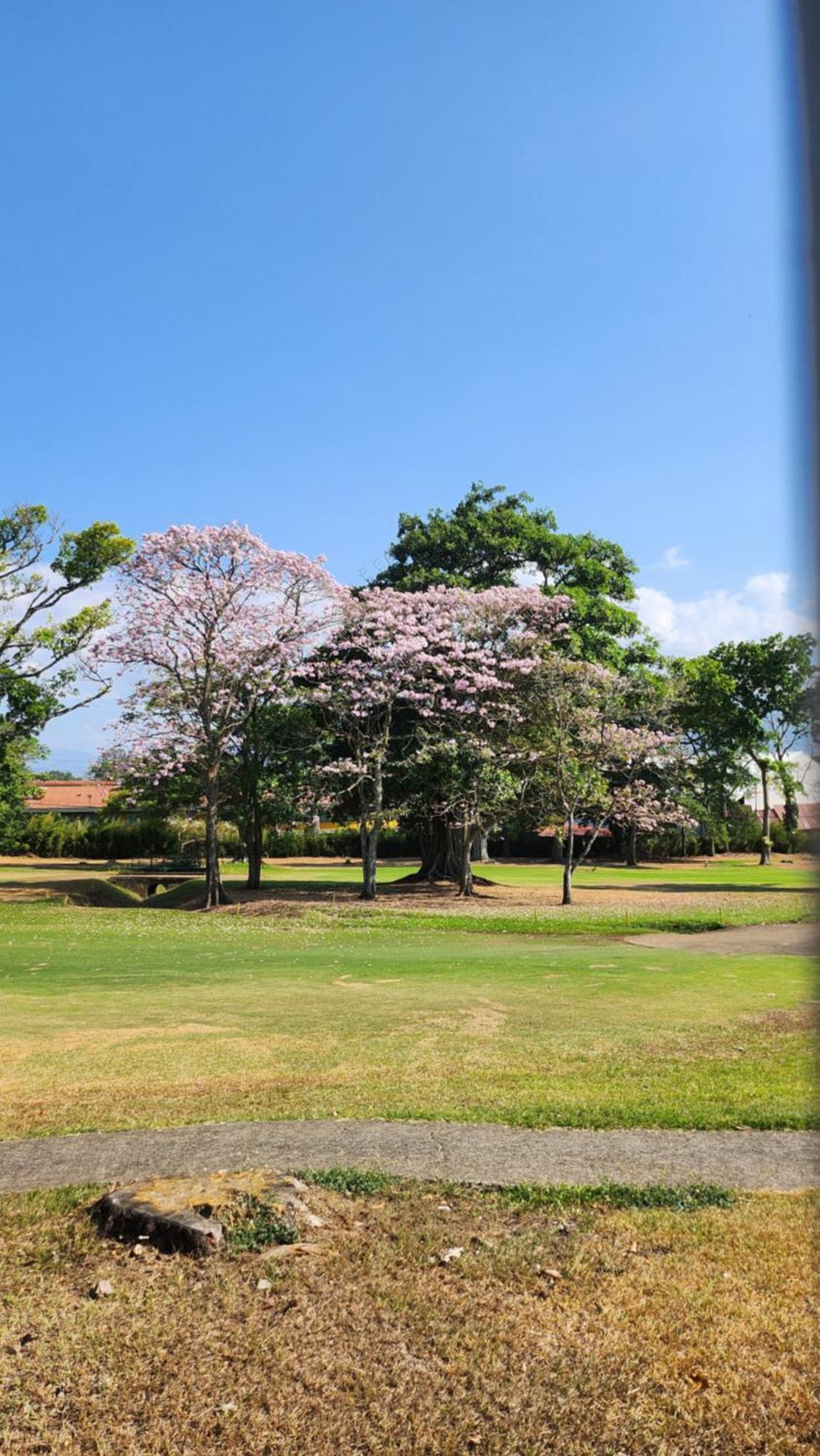 La Casa De Cariari Al Golf Bed & Breakfast Heredia Exterior photo